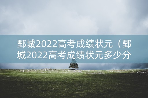 鄄城2022高考成绩状元（鄄城2022高考成绩状元多少分）