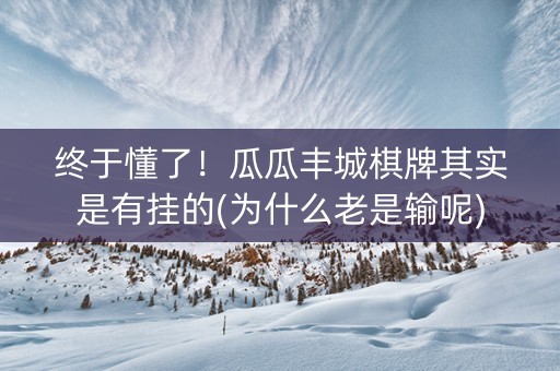 终于懂了！瓜瓜丰城棋牌其实是有挂的(为什么老是输呢)