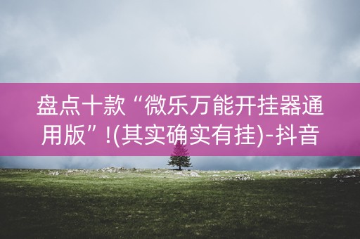 盘点十款“微乐万能开挂器通用版”!(其实确实有挂)-抖音