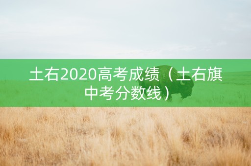 土右2020高考成绩（土右旗中考分数线）
