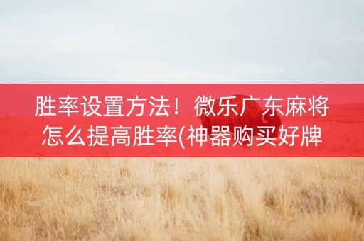 胜率设置方法！微乐广东麻将怎么提高胜率(神器购买好牌规律)