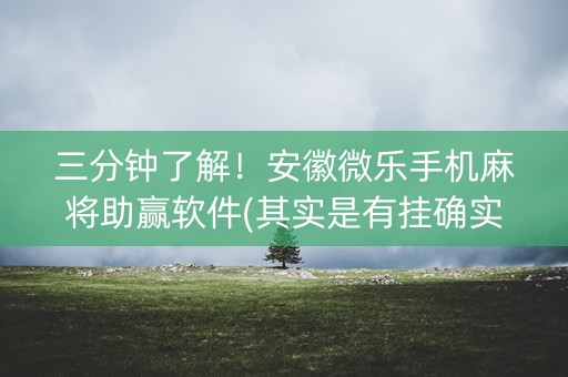 三分钟了解！安徽微乐手机麻将助赢软件(其实是有挂确实有挂)