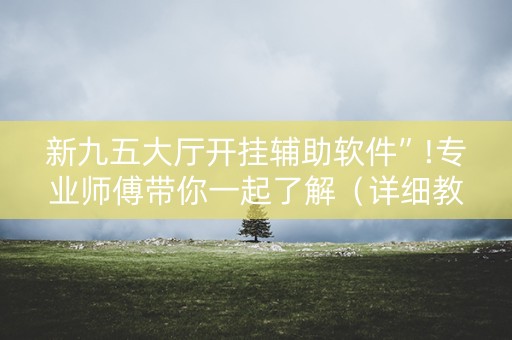 新九五大厅开挂辅助软件”!专业师傅带你一起了解（详细教程）-抖音