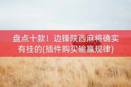 盘点十款！边锋陕西麻将确实有挂的(插件购买输赢规律)