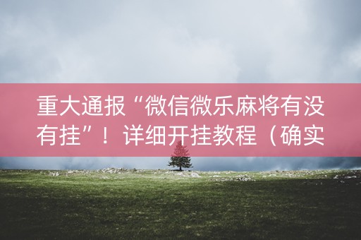 重大通报“微信微乐麻将有没有挂”！详细开挂教程（确实真的有挂)-抖音
