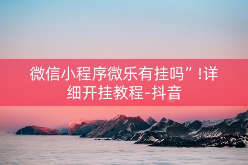 微信小程序微乐有挂吗”!详细开挂教程-抖音