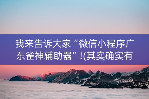 我来告诉大家“微信小程序广东雀神辅助器”!(其实确实有挂)-抖音