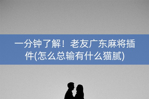 一分钟了解！老友广东麻将插件(怎么总输有什么猫腻)