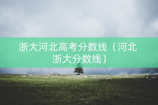 浙大河北高考分数线（河北 浙大分数线）