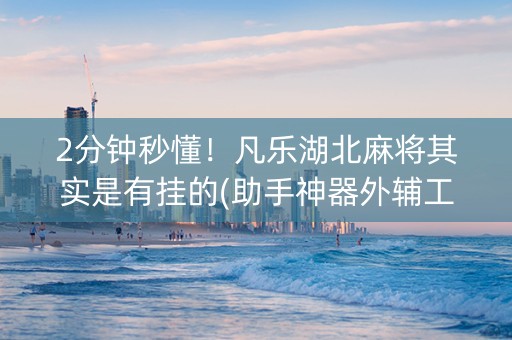 2分钟秒懂！凡乐湖北麻将其实是有挂的(助手神器外辅工具)