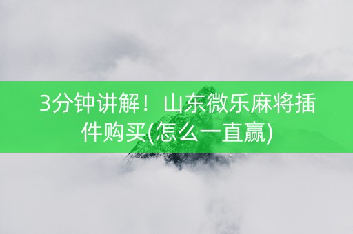 3分钟讲解！山东微乐麻将插件购买(怎么一直赢)