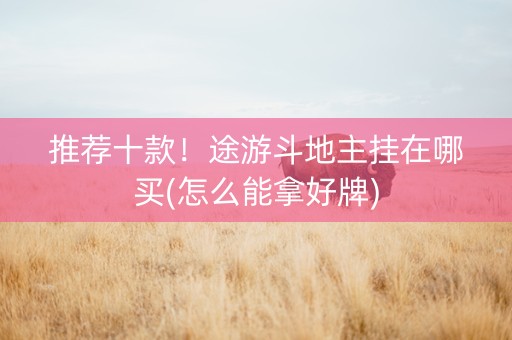 推荐十款！途游斗地主挂在哪买(怎么能拿好牌)