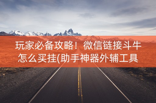 玩家必备攻略！微信链接斗牛怎么买挂(助手神器外辅工具)