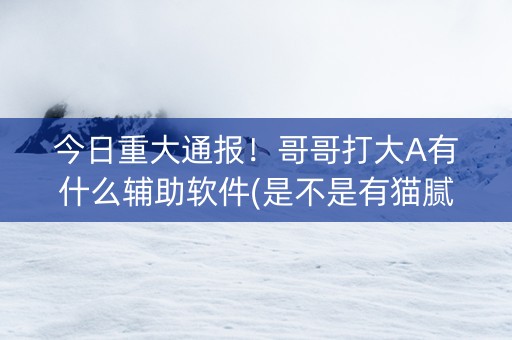 今日重大通报！哥哥打大A有什么辅助软件(是不是有猫腻)