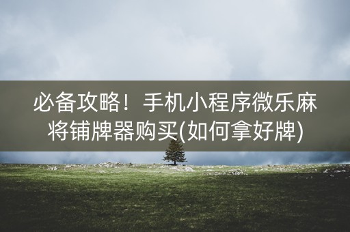 必备攻略！手机小程序微乐麻将铺牌器购买(如何拿好牌)
