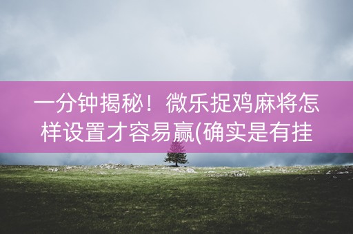 一分钟揭秘！微乐捉鸡麻将怎样设置才容易赢(确实是有挂的)