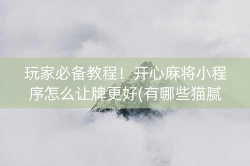 玩家必备教程！开心麻将小程序怎么让牌更好(有哪些猫腻)