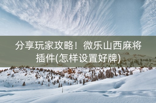 分享玩家攻略！微乐山西麻将插件(怎样设置好牌)