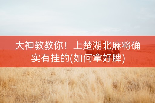 大神教教你！上楚湖北麻将确实有挂的(如何拿好牌)