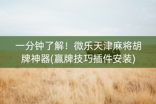 一分钟了解！微乐天津麻将胡牌神器(赢牌技巧插件安装)