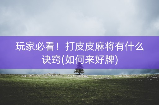 玩家必看！打皮皮麻将有什么诀窍(如何来好牌)