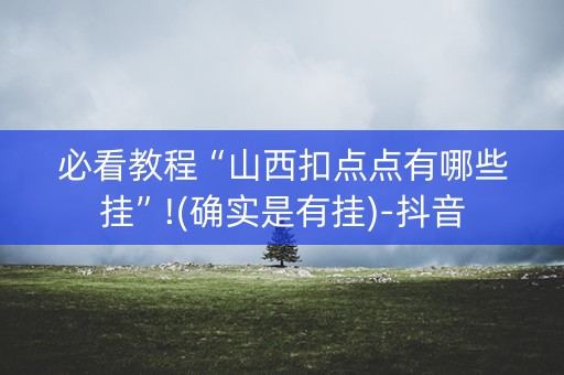 必看教程“山西扣点点有哪些挂”!(确实是有挂)-抖音