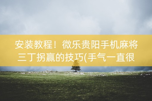 安装教程！微乐贵阳手机麻将三丁拐赢的技巧(手气一直很差)