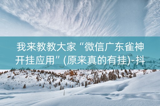 我来教教大家“微信广东雀神开挂应用”(原来真的有挂)-抖音