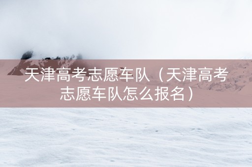 天津高考志愿车队（天津高考志愿车队怎么报名）