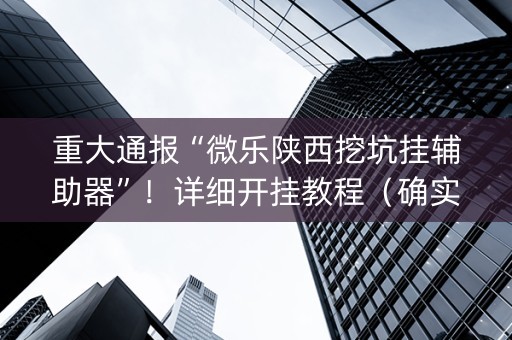 重大通报“微乐陕西挖坑挂辅助器”！详细开挂教程（确实真的有挂)-抖音