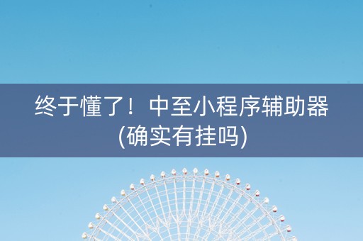 终于懂了！中至小程序辅助器(确实有挂吗)