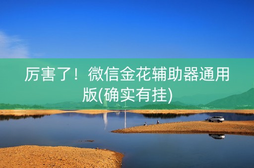厉害了！微信金花辅助器通用版(确实有挂)