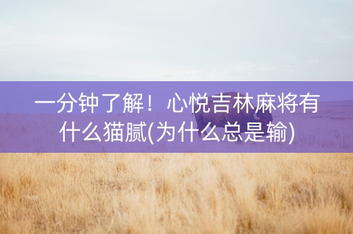一分钟了解！心悦吉林麻将有什么猫腻(为什么总是输)