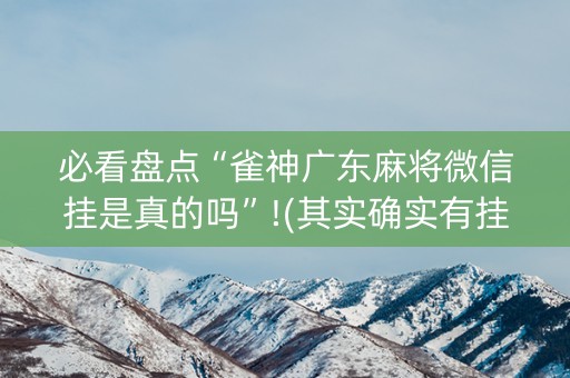 必看盘点“雀神广东麻将微信挂是真的吗”!(其实确实有挂)-抖音