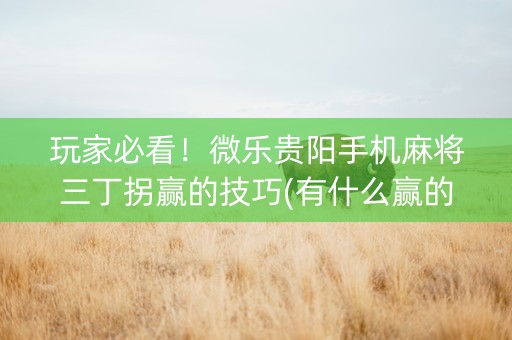 玩家必看！微乐贵阳手机麻将三丁拐赢的技巧(有什么赢的技巧)