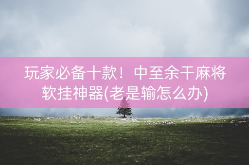 玩家必备十款！中至余干麻将软挂神器(老是输怎么办)