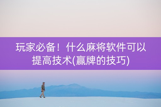 玩家必备！什么麻将软件可以提高技术(赢牌的技巧)