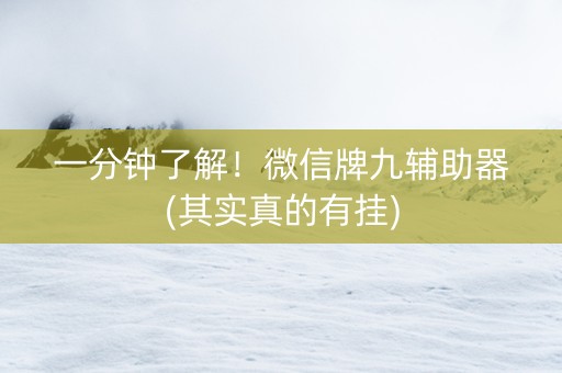 一分钟了解！微信牌九辅助器(其实真的有挂)