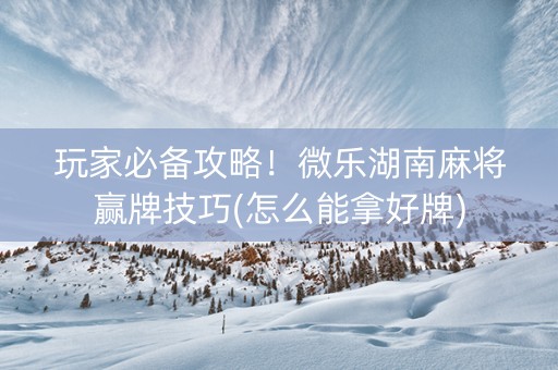 玩家必备攻略！微乐湖南麻将赢牌技巧(怎么能拿好牌)