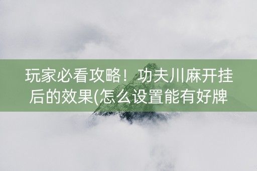 玩家必看攻略！功夫川麻开挂后的效果(怎么设置能有好牌)