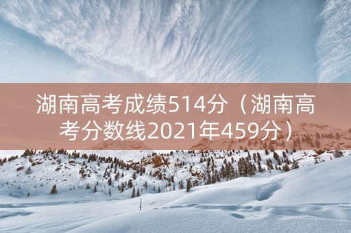 湖南高考成绩514分（湖南高考分数线2021年459分）