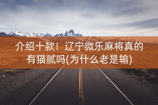 介绍十款！辽宁微乐麻将真的有猫腻吗(为什么老是输)