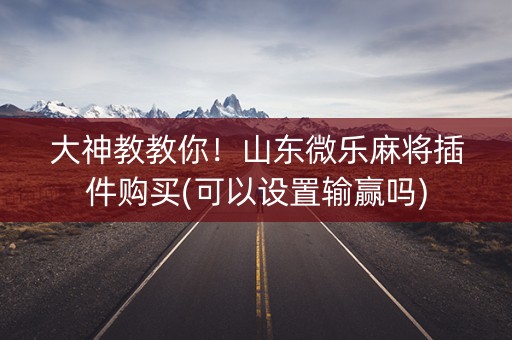 大神教教你！山东微乐麻将插件购买(可以设置输赢吗)