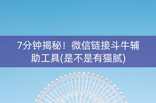 7分钟揭秘！微信链接斗牛辅助工具(是不是有猫腻)