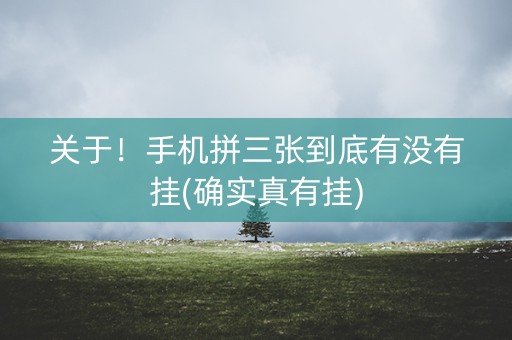 关于！手机拼三张到底有没有挂(确实真有挂)