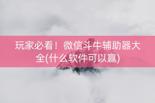 玩家必看！微信斗牛辅助器大全(什么软件可以赢)