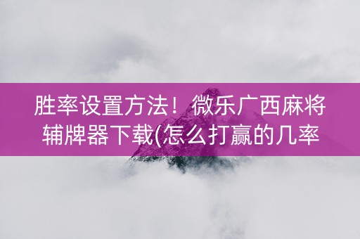 胜率设置方法！微乐广西麻将辅牌器下载(怎么打赢的几率大)