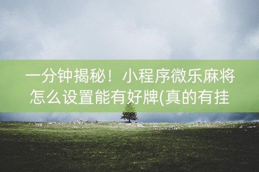 一分钟揭秘！小程序微乐麻将怎么设置能有好牌(真的有挂)