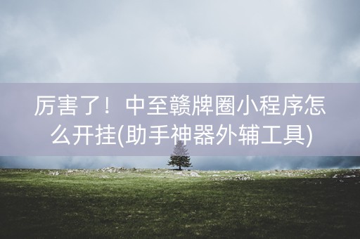 厉害了！中至赣牌圈小程序怎么开挂(助手神器外辅工具)