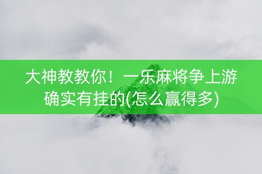 大神教教你！一乐麻将争上游确实有挂的(怎么赢得多)